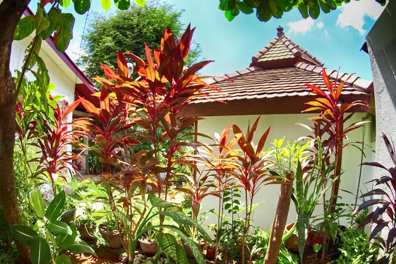 Ayu Hotel Karimunjawa Exteriér fotografie