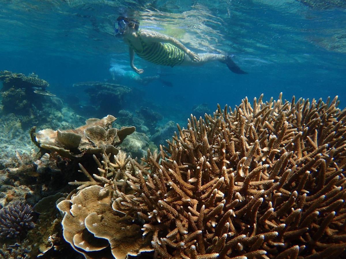 Ayu Hotel Karimunjawa Exteriér fotografie